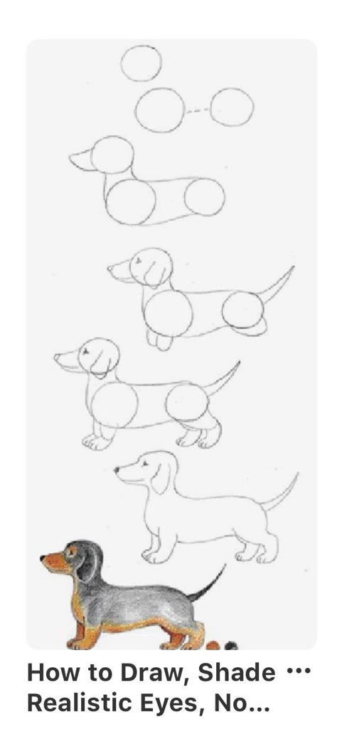 Dash Hound Drawing, How To Draw A Sausage Dog, How To Draw A Weenie Dog, Dashund Drawing Easy, Watercolor Dachshund Painting, How To Draw Dachshund, Dauchsands Drawing, Dachshund Art Painting, Watercolour Dog Simple