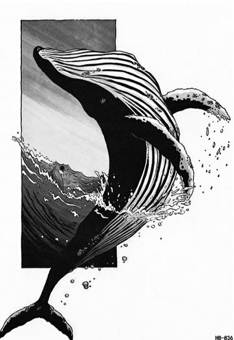 Whale Drawing, Whale Illustration, Art Flash, Whale Tattoos, Arm Art, Whale Art, A Whale, Women Body, 수채화 그림