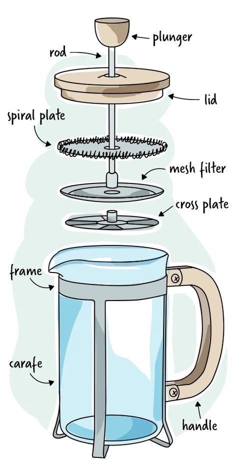 How to Make French Press Coffee | Drip Coffee vs. French Press French Press Drawing, French Press Coffee Recipe, Coffee Infographic, French Press Coffee Maker, French Coffee, Coffee Press, Coffee Images, Coffee Illustration, French Press Coffee