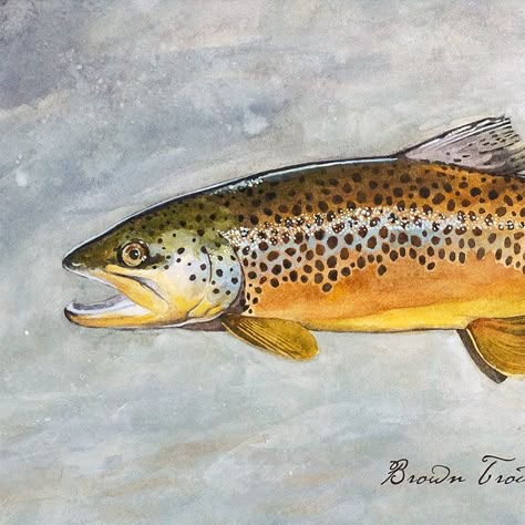 Brown Trout Art Watercolor Trout Fly Fishing Art Trout - Etsy Trout Pattern Art, Brown Trout Drawing, Brown Trout Painting, Brown Trout Art, Trout Artwork, Watercolor Trout, Trout Painting, Fish Paintings, Trout Art