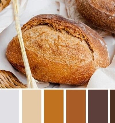 Bread Color Palette, Color Combinations Paint, Paint Your House, Bread Making, Colour Schemes, Paint Color, Colour Palette, Color Palettes, Color Combinations