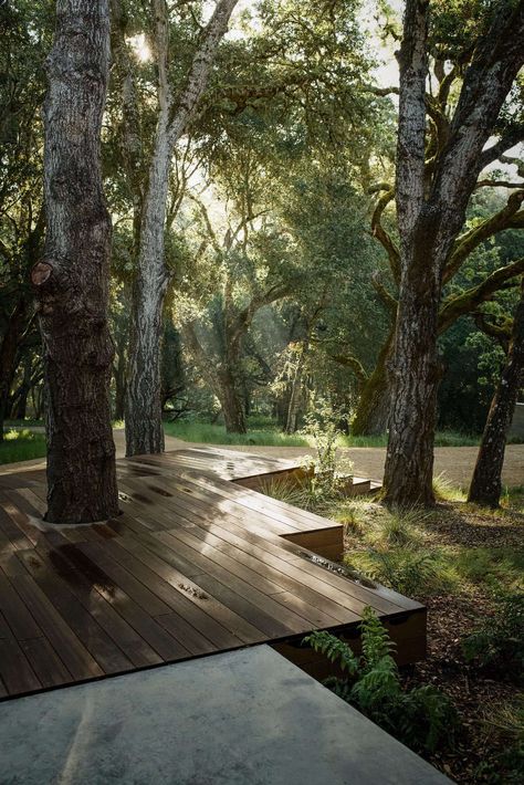 5 Favorites: Decks Built Around Trees - Gardenista Best Garden Design, Wooden Deck, Modern Landscape Design, 카페 인테리어 디자인, Landscape Plans, Wooden Decks, Landscaping Tips, Back Gardens, Best Garden