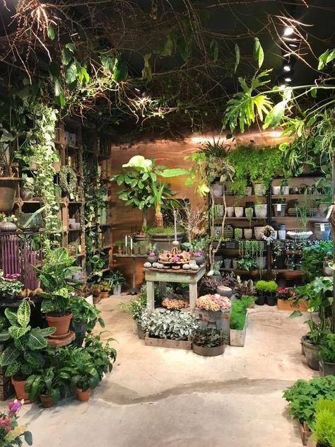 Flowershop Aesthetic, Garden Center Displays, Flower Shop Interiors, Plant Store, Flower Shop Design, Deco Jungle, Plant Shop, Indoor Gardens, Green Room