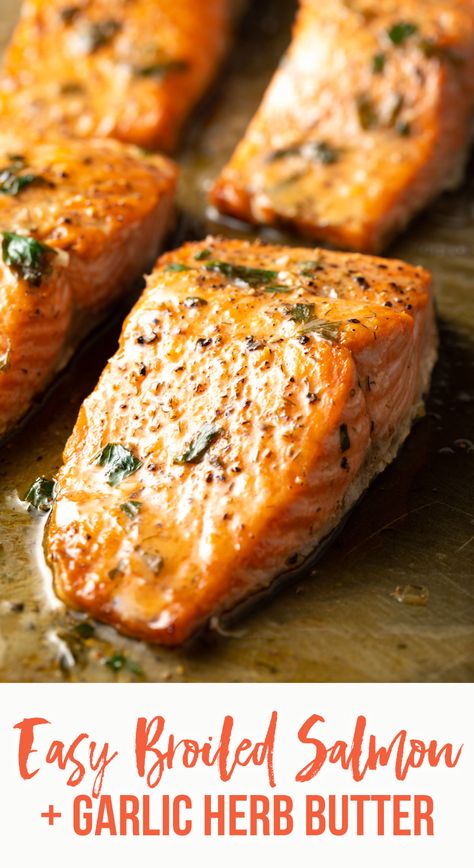 Broiled Salmon Recipes, Broiled Salmon, A Spicy Perspective, Garlic Herb Butter, Garlic Recipes, Salmon Recipe, Garlic Herb, Herb Butter, Salmon Recipes