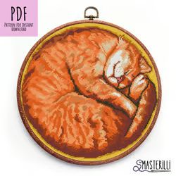 Frame Cross Stitch Pattern, Frame Cross Stitch, Embroidery Ornaments, Cat Embroidery Design, Unique Cross Stitch, Xstitch Patterns, Cat Cross Stitch Pattern, Animal Cross Stitch Patterns, Stitch Gift