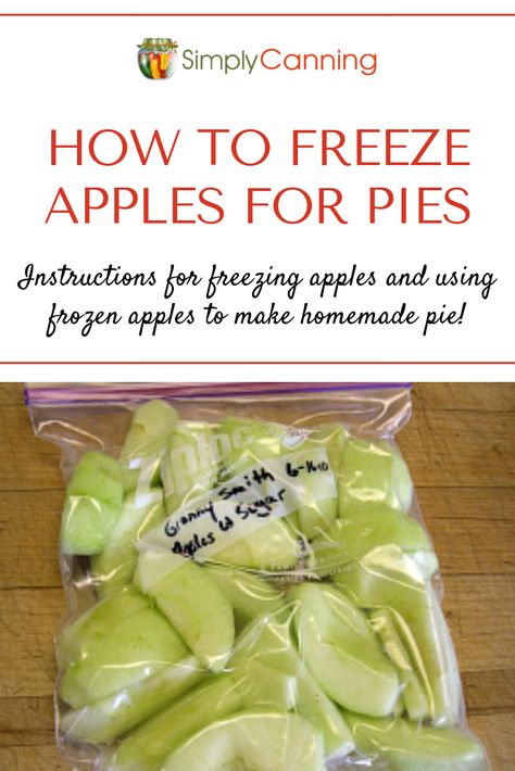 Freezing apples can be done in many ways. SimplyCanning.com has tips, tricks, and shares 3 different ways you can preserve your apples in the freezer for easy use later. Preserve Apples Slices, Apple Pie Filling From Frozen Apples, Apples For Freezing, Can You Freeze Apple Slices, How To Prepare Apples For Freezing, Preserving Apples Slices, Freezing Apple Slices For Pie, Freezing Apples Slices Pie Fillings, Preserving Apples Freezing