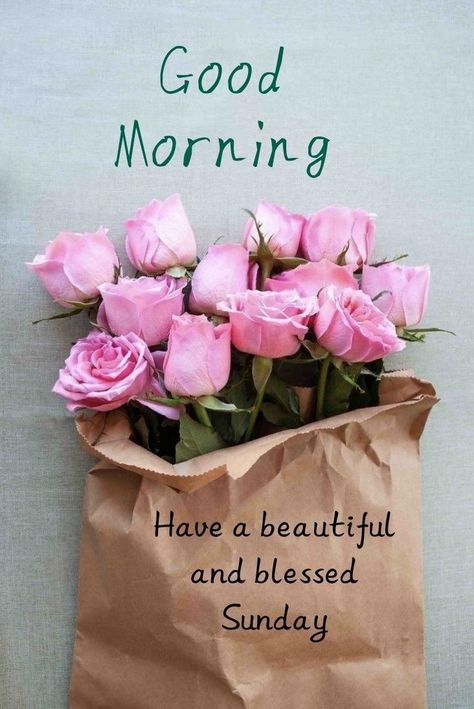 Happy Sunday Wishes, Sunday Flowers, Weekend Wishes, Happy Sunday Images, Good Morning Sunday, Good Morning Posters, Blessing Quotes, Good Morning Snoopy, Good Morning Msg