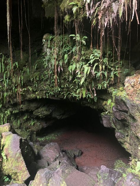 Forest Cave, Dragon Cave, Dark Cave, Jungle Tree, Underground Caves, Jungle Gardens, Mystical Places, Art Journal Therapy, Book Writing Inspiration