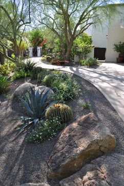 Pea gravel is 1" below the concrete and therefore needs no edging to keep it off the concrete. The trees are Palo Verdes. Beautiful hardscaping! Desert Landscaping Backyard, Low Water Landscaping, Succulent Landscape Design, Drought Tolerant Garden, Small Front Yard Landscaping, Drought Tolerant Landscape, Succulent Landscaping, Small Front Yard, Lush Lawn