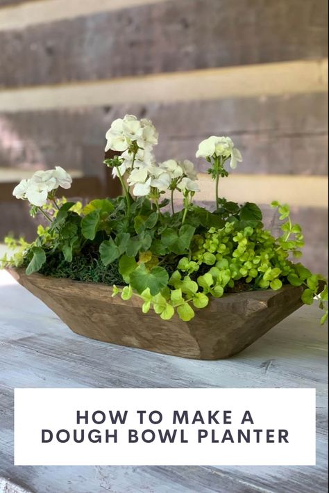 A wood dough bowl used as a planter for white geraniums and creeping jenny Dough Bowl Planter, Summer Dough Bowl Decor, Creeping Jenny Plant, Dough Bowl Centerpiece, Plant Centerpieces, Wood Dough Bowl, Planter Centerpiece, Container Garden Ideas, Geranium Plant