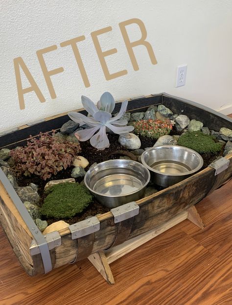 Turned my dogs water bowl into a succulent planter! They water while they drink! Dog Bowl Succulent Planter, Cat Water Bowl Planter, Planter Dog Water Bowl, Diy Dog Water Bowl Planter, Dog Plant Water Bowl, Cat Water Station, Dog Water Planter, Dog Bowl Station Ideas, Pet Water Bowl Planter