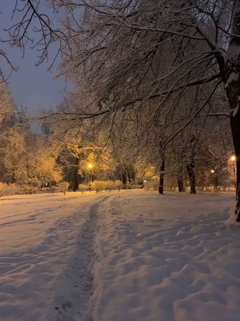 Aesthetic Taurus, Book Content, Winter Inspo, Winter Love, Black Ice, Winter Wallpaper, Winter Scenery, Winter Girls, Snowy Day