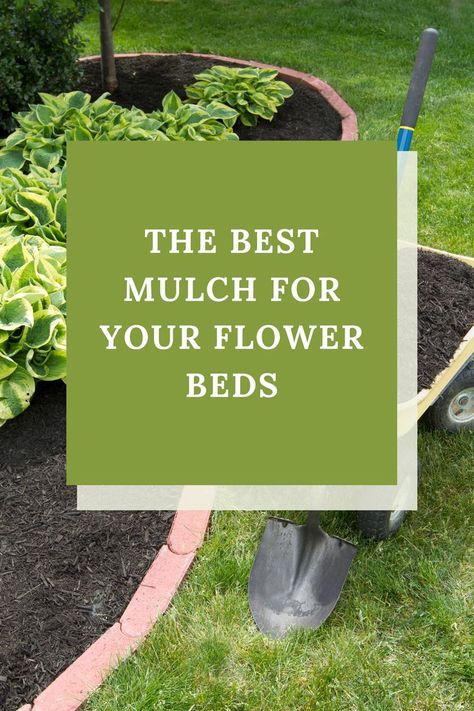 In a flower garden, mulch has benefits that are both practical and aesthetic. Find out which types of materials make the best mulch for flower gardens. How To Plant Flowers In Mulch, Mulched Flower Beds, Best Mulch For Flower Beds, Flower Bed Filler Ideas, Mulch Flower Beds, Makeup Looks Winter, Christmas Makeup Simple, Garden Mulch, Straw Mulch