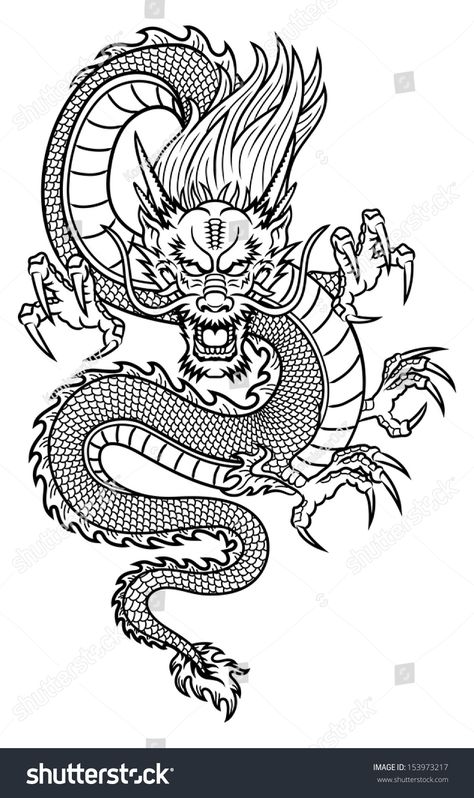 Animal Tattoos, Body Art, Asian Dragon Tattoo, Japanese Dragon Tattoos, Asian Dragon, Japanese Dragon, Line Work Tattoo, Dragon Tattoo, Blackwork