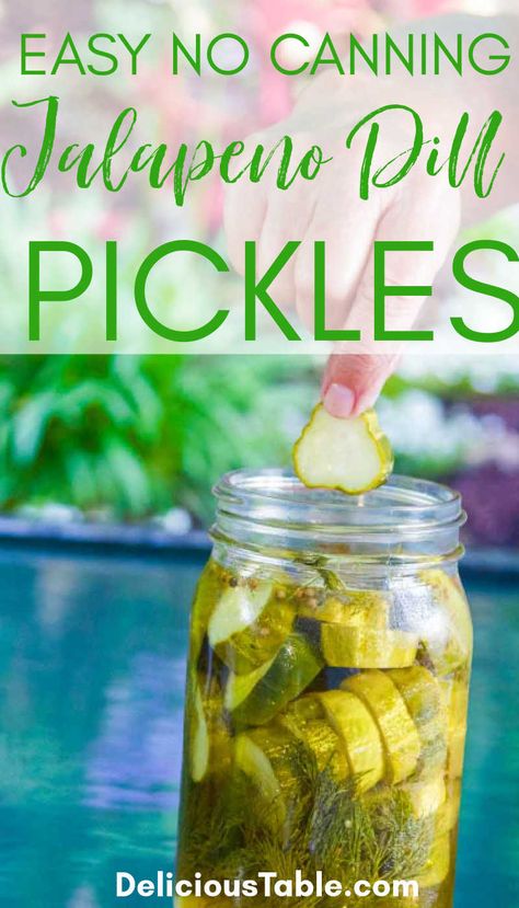 Jalepeno Garlic Pickles, Pickles Homemade Easy, Spicy Refrigerator Pickles, Easy Dill Pickles, Refrigerator Dill Pickles, Pickled Eggs Recipe, Refrigerator Pickles Dill, Garlic Dill Pickles, Homemade Pickles Dill