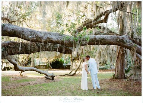 Spanish Moss Wedding, Moss Wedding, New Orleans Elopement, Magnolia Gardens, Smallest Wedding Venue, Jekyll Island, Savannah Wedding, Affordable Wedding Venues, Elopement Ceremony