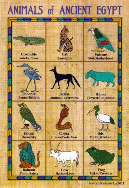 Brane & Nina: Animals of Ancient Egypt Egypt Animals, Egypt Gods, Starověký Egypt, Egypt Project, Ancient Egypt Gods, Egiptul Antic, Ancient Egypt History, Ancient Egyptian Gods, Ancient Egypt Art