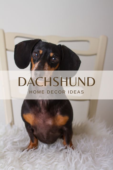 Looking for Dachshund Home Decor Ideas? Or maybe a gift for a dachshund lover? Check out this collection of dachshund decor rounded up from your favorite stores! Having all these dachshund items in one place saves you time and helps you quickly and easily find that perfect dachshund product in no time. The best thing, these home decor ideas also make perfect gift ideas for for dachshund lovers! #affiliate Wiener Dog Decor, Dachshund Bathroom Decor, Dachshund Sculpture, Dachshund Pottery, Wired Haired Dachshund, Dachshund Decor, Black Dachshund, Dog Bookends, Dachshund Mom