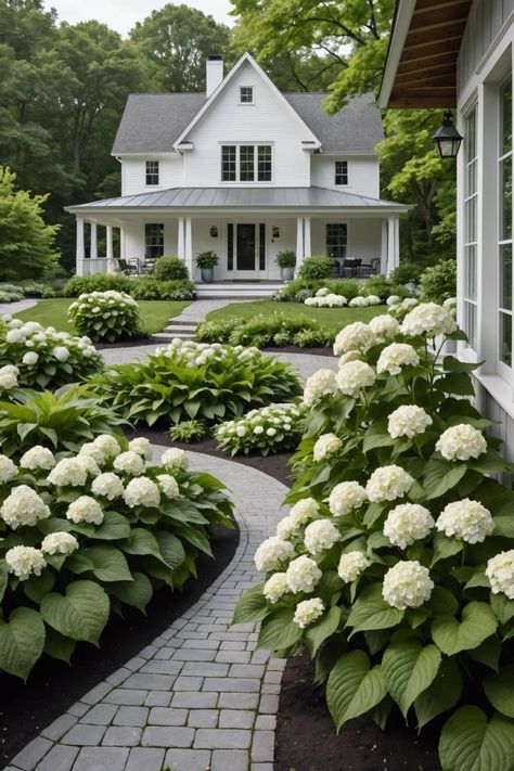 20 Hydrangea And Hostas Landscaping Combinations - Toolz Geek Plants On House Exterior, White House Blue Hydrangeas, Cottage Home Landscaping, Green White Landscaping, Landscapes With Hydrangeas, Country Living Landscape Ideas, Boca Chica, Traditional Home Landscaping Front Yards, Front Porch Yard Landscaping