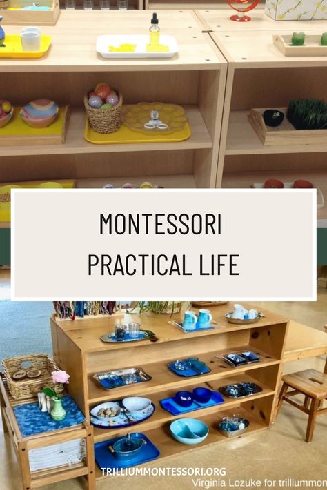 Montessori ‘Practical Life’ activities focus on the care of the child’s own person (personal dressing and grooming), care of the environment (cleaning, caring for plants and pets, preparing food), development of fine and gross motor skills, and learning courteous behavior and conflict resolution. The Benefits of Practical Life Independence, Confidence, and Self-Care The activities of […] Practical Life Kindergarten, Montessori, Practical Montessori Activities, Montessori Fine Motor Skills, Ocean Practical Life Montessori, Montessori Life Skills Activities, Montessori Practical Life Toddlers, Practical Life Water Activities, Montessori Classroom Activities