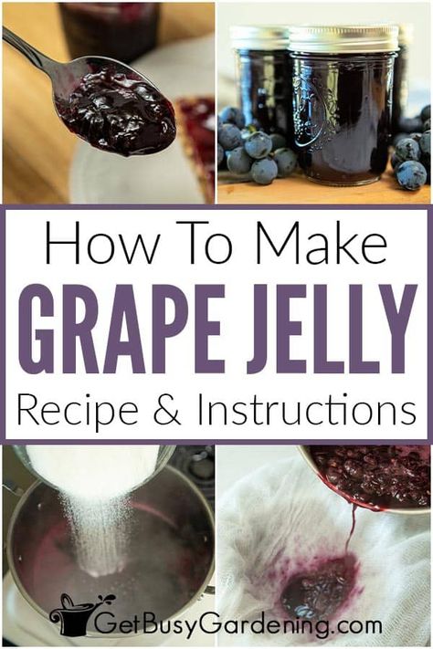 This is an easy and delicious recipe for homemade grape jelly that's so much better than store-bought! Learn how to make this simple grape jelly recipe in a few basic steps, and only 3 ingredients. You don’t need fancy equipment either. You will never taste a better grape jelly than this! You will have people asking you for more after they taste it, I promise! In this article, you will learn everything you need to know to make it, store it, and use it (on more than just your breakfast toast). Best Grape Jelly Recipe, Low Sugar Grape Jelly Recipe, Concord Grape Recipes, Grape Jelly Recipe, Grape Jam Recipe, Homemade Grape Jelly, Concord Grape Jelly, Canning Jam Recipes, Grape Jam