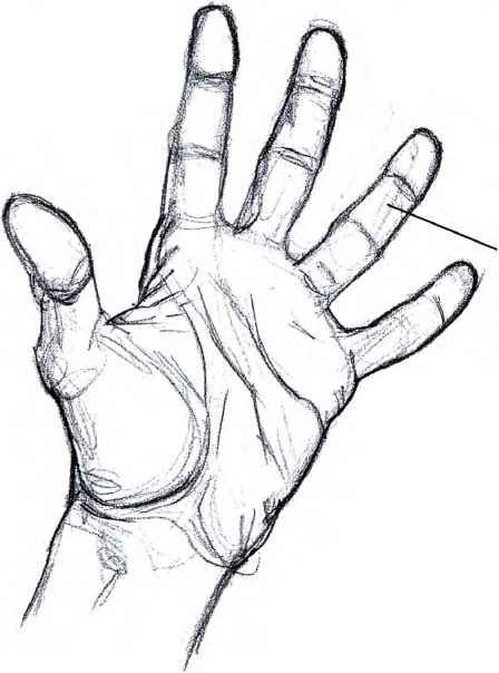 Hand Wave Drawing, How To Draw Abs, Hand Outline, Beautiful Pencil Drawings, Wave Drawing, Drawing Hands, Hand Drawing Reference, Manga Drawing Tutorials, Anatomy Sketches