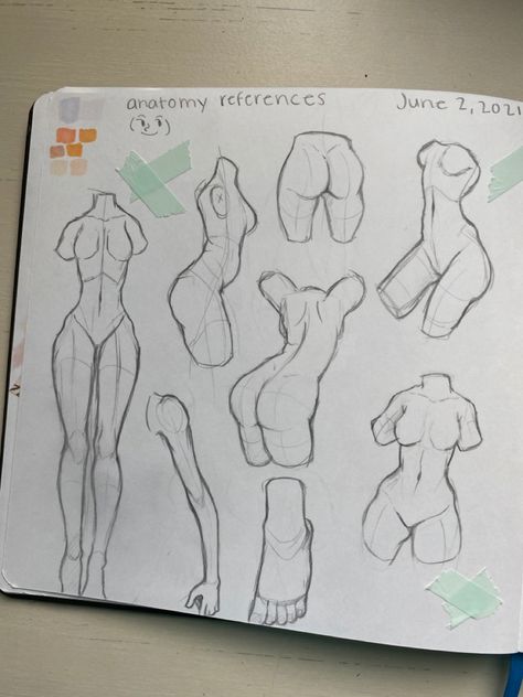 Human Anatomy Drawing Practice, Art Poses Anatomy, Body Anatomy For Drawing, Anatomy Sketches For Beginners, Backs Drawing Reference, Drawing Inspo Sketch Anatomy, Poses To Practice Anatomy, Practice Anatomy Drawing, Anatomy Practice Torso