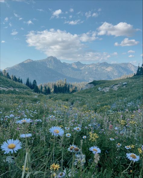 Wild Flowers Mountain, Cottage Core Mountains, Fields And Mountains, Mountain Nature Aesthetic, Flowers On Mountain, Pretty Outdoor Pictures, Mountain Range Aesthetic, Colorado Mountain Aesthetic, Mountaincore Aesthetic