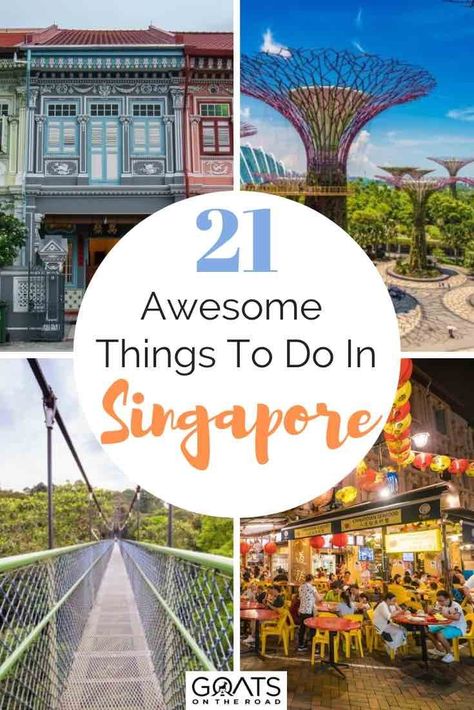 Planning your Singapore adventure and not sure what to do when you get there? We’ve got the ultimate list of fun things to do in this aweseome destination, from downtown walking tours, to the supertrees, exploring marina bay, or feasting on delicious food like chilli crab, we’ve got your itinerary sorted! | #prettycities #visitsingapore #asiatravel Singapore Things To Do, History Of Singapore, Singapore Itinerary, Visit Singapore, Singapore Travel, Travel Destinations Asia, Gardens By The Bay, Southeast Asia Travel, Southeast Asia