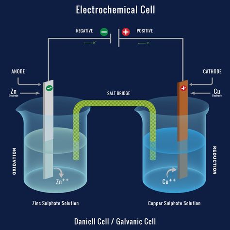 Table of ContentsWhat is a battery? Understanding galvanic cells through a galvanic empireLet’s Put That Into Science!ConclusionSuggested ReadingGalvanic cells are electrochemical cells that convert chemical energy into electrical energy. They are compact sources of electrical power.PAT! PAT! PAT! “This remote stops working only when we really want to watch something!” exclaimed Arun’s grandfather as he smashed the TV remote against his hand.“Stop hitting that, Dad, Body Anatomy Organs, Luigi Galvani, Galvanic Cell, Electrochemical Cell, Photography Buildings, Exothermic Reaction, Chemistry Projects, Chemistry Basics, Cells Project