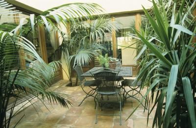 If your home or office has an indoor atrium, an enclosed area with a skylight, you can grow more exotic tropical plants that might not otherwise thrive outdoors. Certain varieties of tropical plants and trees thrive in indoor atriums and can be used to create a serene, sun-kissed paradise you will cherish. Indoor Atrium, Atrium Ideas, Florida Tile, Atrium House, Kalanchoe Blossfeldiana, Vegetable Garden Planner, Garden Planner, Large Backyard, Indoor Gardens