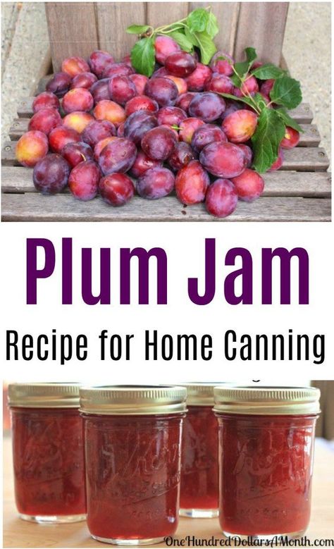 Remember those free plums we picked up the other day? Well this morning I whipped up a batch of cinnamon plum jam using a low sugar recipe. Even though I’ve canned enough jam this summer to last the next year or two, I just can’t stop trying new jam recipes when I find them. I think all … Plum Jam Recipes, Yogurt Banana, Canning 101, Plum Recipes, Jam Recipes Homemade, Canning Jam, Plum Jam, Low Sugar Recipes, Jam And Jelly