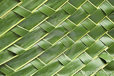 Handicraft  art with coconut leaf Coconut Leaves, New Look Fashion, Weaving Techniques, Green Colors, Banners, Lush, Plant Leaves, Photo Image, Coconut