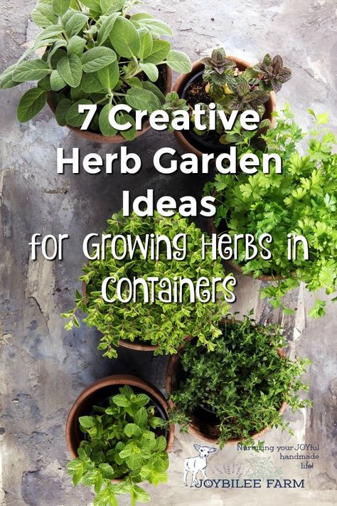 These creative herb garden ideas will help you find the space for growing culinary and medicinal herbs no matter how much garden you have.  Growing herbs is not only easy but also fun, because they are versatile and can be planted pretty much anywhere and in anything. As long as they have plenty of sunlight, good soil, good drainage and consistent water, they will flourish.  #CreativeHerbGardenIdeas, #herbsincontainers, #herbgardening Herbs In Containers, Herb Garden Ideas, Gemüseanbau In Kübeln, Herb Garden Pallet, Herb Garden Pots, Herb Containers, Diy Herb Garden, Types Of Herbs, Herb Garden Design