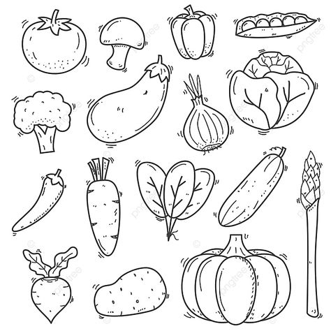 Vegetable Drawing Simple, Tomato Doodle, Tomato Png, Vegetables Drawing, Vegetable Clipart, Fruit Doodle, Vegetable Drawing, Doodle Clipart, Vegetable Pictures