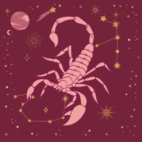 Scorpio Soulmate, Scorpio Symbol, Star Sign Art, Scorpio Art, Zodiac Signs Scorpio, Scorpio Sign, Constellation Tattoos, Astrology Art, Zodiac Star Signs