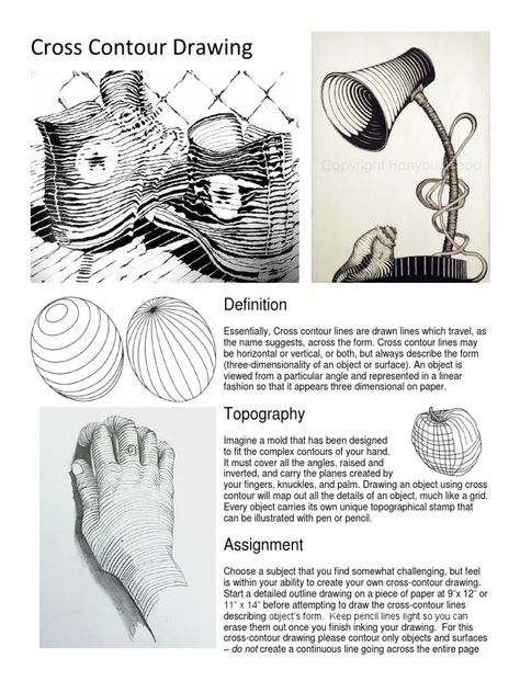 understanding cross contouring Cross Contour Line Drawing Still Life, Extra Credit Art Assignments, Contour Line Drawing Project, Contour Lines Art, High School Drawing Lessons, Contour Drawing Objects, Contour Line Drawing Lesson, Contour Drawing Ideas, Contour Hatching