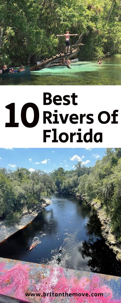 Are you someone who loves exploring rivers and wants to know about Florida's best? If so, here's a list of the best rivers in Florida! Indian River Florida, Epic Photography, Travel Florida, Florida Destinations, Florida Springs, Everglades National Park, Us Travel Destinations, Indian River, States In America