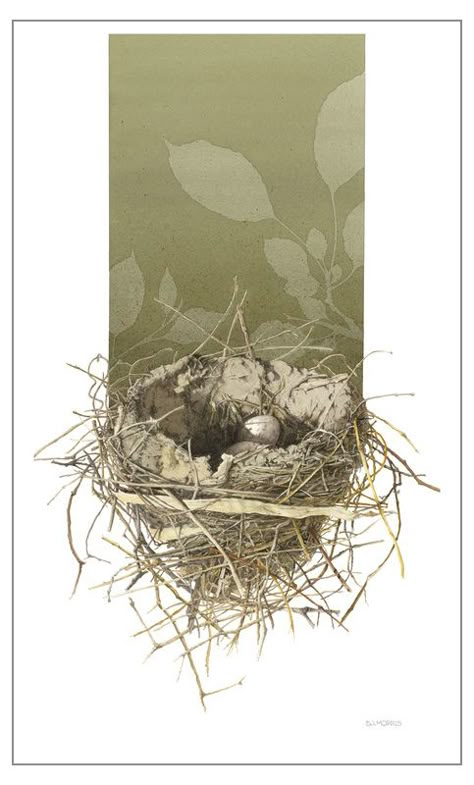 Nest Illustration, Bird Nests Art, Bird Nest Painting, Birds Nests, Nest Art, Animal Tattoo Ideas, Bird Nests, Birds Nest, Cottage Art