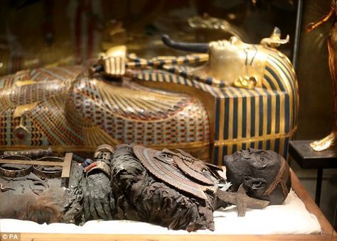 the tomb of tut ankhamun | The discovery of Tutankhamun's tomb has been described as the ... King Tut Tomb, Egypt Today, Egyptian Mummies, Avan Jogia, Egyptian Artifacts, Archaeological Discoveries, Egypt History, Egypt Art, Tutankhamun