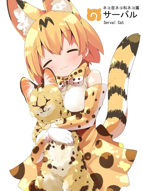 1girl :3 animal animal_ear_fluff animal_ears animal_hug bangs bare_shoulders blush bow bowtie brown_hair character_name closed_eyes closed_mouth commentary elbow_gloves extra_ears eyebrows_visible_through_hair gloves hair_between_eyes head_tilt high-waist_skirt highres kemono_friends makuran namesake print_gloves print_neckwear print_skirt serval serval_(kemono_friends) serval_ears serval_print serval_tail shirt simple_background skirt sleeveless sleeveless_shirt solo striped_tail tail ... Anime Cat Boy, Animal Hugs, Chibi Cat, Kemono Friends, Anime Wolf, Anime Cat, Animal Ears, Illustration Character Design, Cute Anime Pics