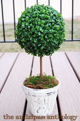 boxwood topiary tutorial Porch Topiary, Live Topiary, Diy Storage Projects, Topiary Diy, Krylon Spray Paint, Boxwood Plant, Flower Decorations Diy, Boxwood Topiary, Topiary Trees