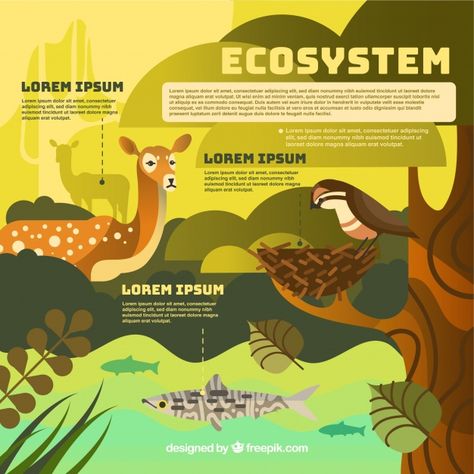 Ecosystem infographic concept Free Vector Green Pubmat, Biodiversity Infographic, Ecosystem Poster, Biodiversity Poster, Ecosystem Infographic, Ecosystem Illustration, Ecosystem Design, Green Infographic, Poster Infographic