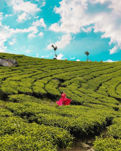 Leave the Road, Take the Trails! ❤️ —————————————————- #AakritiRana #munnar #teaplantation #Kerala #Travel #wanderlust #travelblogger… Munnar Kerala Photography Poses, Kerala Outfits Women Travel, Kerala Trip Outfits Women, Outfits For Kerala Trip, Munnar Photography Travel, Tea Garden Photography, Ooty India Photography, Munnar Photography Kerala, Munnar Photography