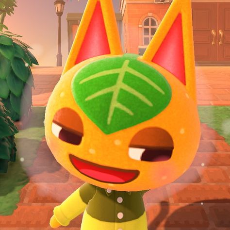 Animal Crossing Orange, Tangy Animal Crossing, Acnh Icons, Orange Characters, Inspirational Characters, Types Of Themes, Orange Icons:), Leaf Animals, Nap Pillow