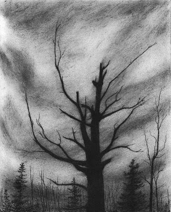 simple charcoal drawings - Google Search Easy Charcoal Drawings, Charcole Drawings, Charcoal Artwork, Dark Tree, Drawing Charcoal, Art Charcoal, Charcoal Drawings, Charcoal Sketch, Charcoal Art