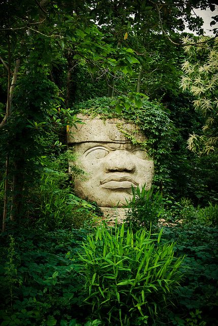 The backs of the monuments often are flat. The boulders were brought from the Sierra de los Tuxtlas mountains  it is thought that the monuments represent portraits of powerful individual Olmec rulers. Each of the known examples has a distinctive headdress. The heads were variously arranged in lines or groups at major Olmec centres, but the method and logistics used to transport the stone to these sites remain unclear. Olmec Heads, Mayan Art, Mexican American, Ancient Aliens, African History, Ancient Architecture, Ancient Artifacts, Ancient Cultures, Ancient Civilizations