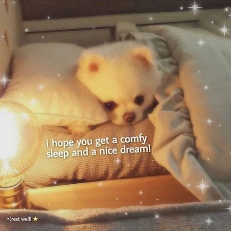 Cute Memes For Her Goodnight, Goodnight Wholesome, Wholesome Messages, Cute Love Messages, Wholesome Pictures, Response Memes, Cute Love Memes, Slaap Lekker, Cute Messages