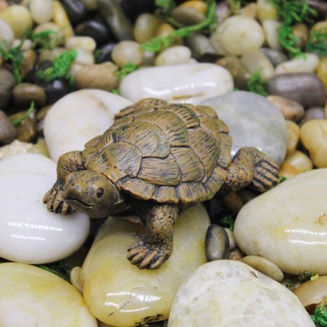 Smarter Shopping, Better Living! Aliexpress.com Small Tortoise, Turtle Homes, Mini Turtle, Landscape Accessories, Turtle Ornament, Turtle Crafts, Succulent Jewelry, Outdoor Ponds, Mini Turtles