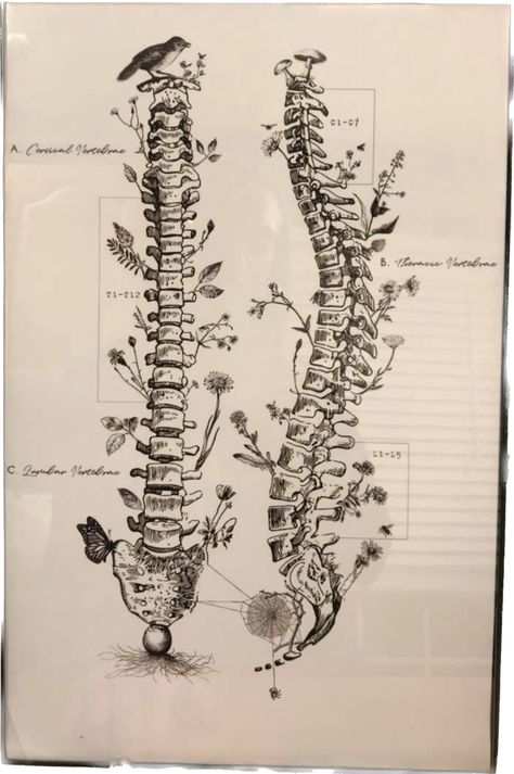 How To Draw A Spine, Spine Tree Tattoo, Spine Drawing Sketches, Spine Embroidery, Spine Sketch, Physiotherapy Tattoo, Spine Bone Tattoo, Spine Painting, Spine Drawing